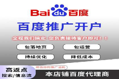 提升转化率：SEM竞价专员的案例研究